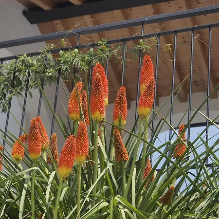 Valle Castelgomberto