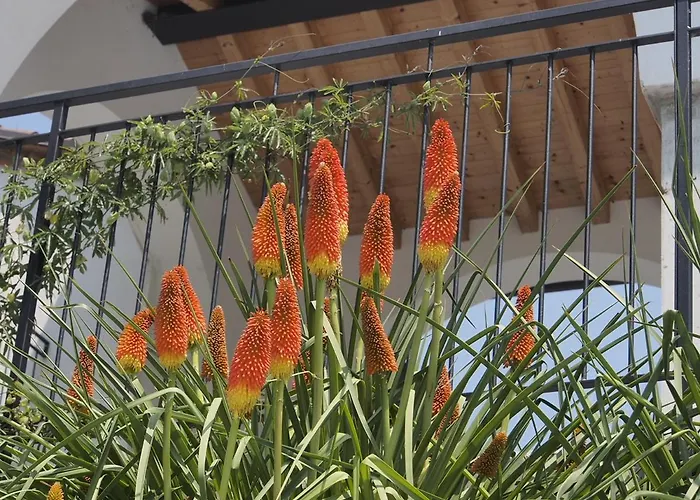 Valle Castelgomberto